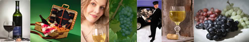 Wine Tours in Long Island - LI Vineyard Tours - specializing in limousine services for wine tasting in the Long Island, New York area. Tours featuring professional chauffeurs, luxury sedans, stretch limousines, vans, more.